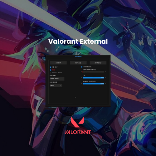 Valorant External Cheat β Aimbot & ESP